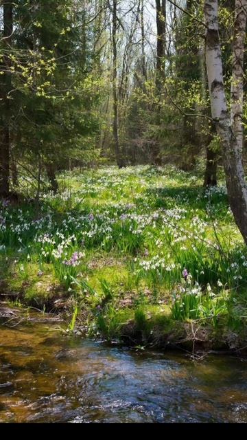 Я программирую себя на счастье