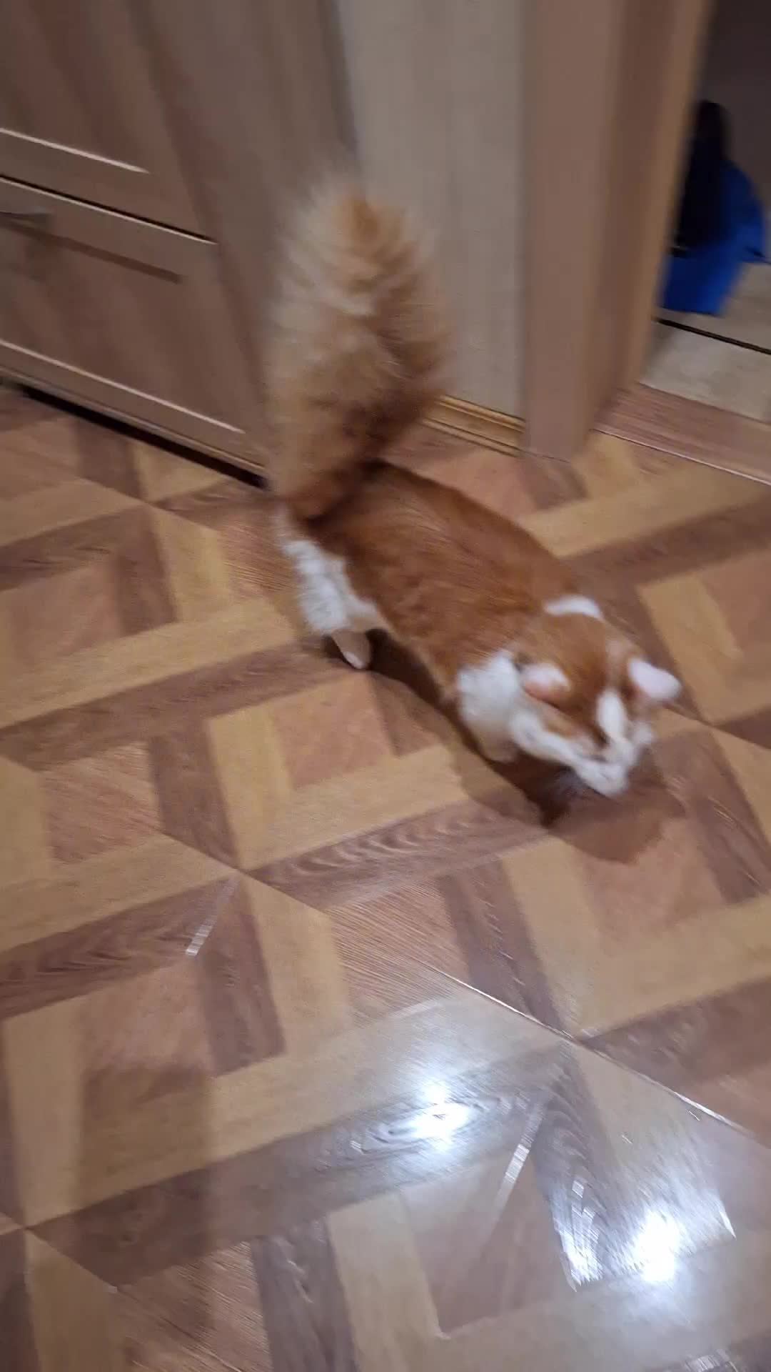 Масяня и шарик