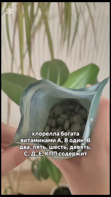 🌿 Секрет ацтеков и космонавтов — теперь у вас в руках!