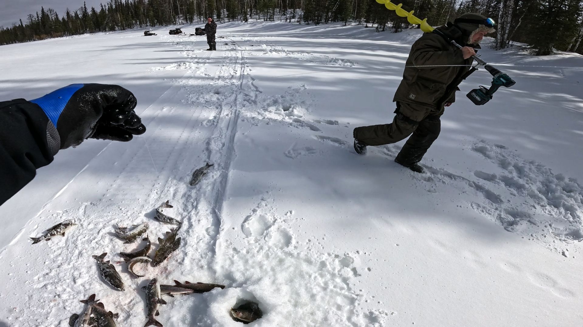 Если это сон, не будите меня | Лучшая рыбалка на хариуса | Завершение