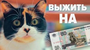 КАК ПРОЖИТЬ ЦЕЛЫЙ ДЕНЬ - НА 50 РУБЛЕЙ!