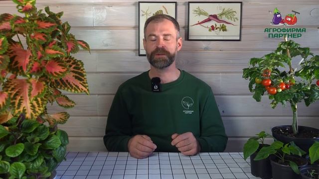 РАССАДА ЖЕЛТЕЕТ И НЕ РАСТЁТ? Вся правда о подкормках азот фосфор калий