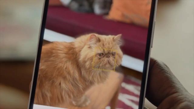 Рекламный ролик iPhone 17e в новом цвете