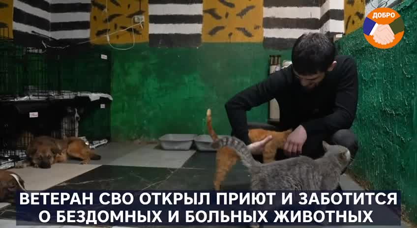 Ветеран СВО открыл приют для бездомных и больных животных