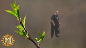 Положение коленей в Тайцзы.