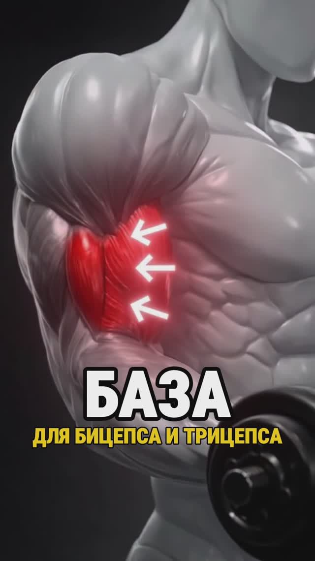 Базовая тренировка дома бицепса и трицепса