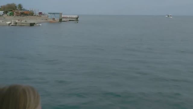 🌅 Батуми, катер: выглядываем 🐬🐬 в акватории