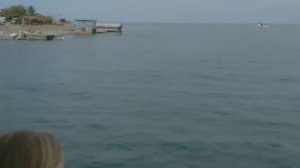 🌅 Батуми, катер: выглядываем 🐬🐬 в акватории
