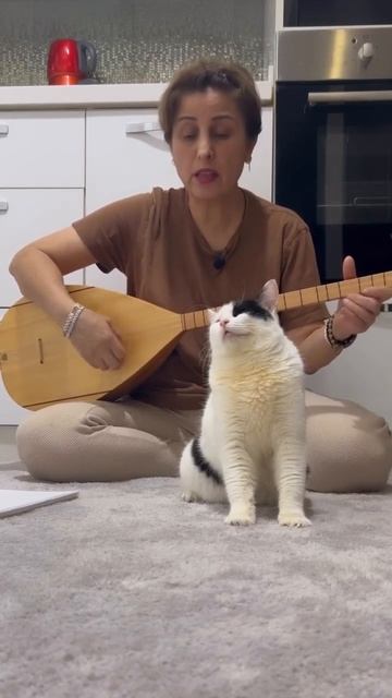 Ценитель прекрасного