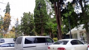 Выпуск 12. Моя прогулка по улице Чехова в Ялте