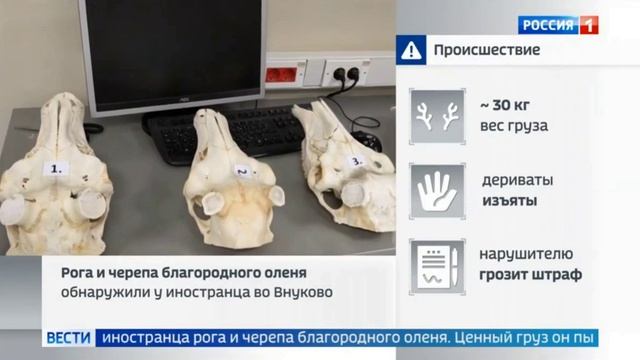 Телеканал «Россия 1», программа «Вести.Москва», 15.04.2026