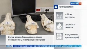 Телеканал «Россия 1», программа «Вести.Москва», 15.04.2026