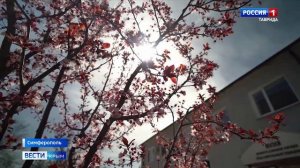 19 апреля — День памяти жертв геноцида советского народа