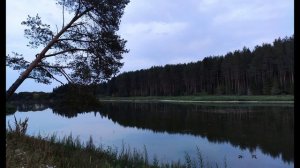 В. Соснора.  Легенда