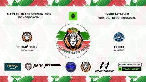 КУБОК ТАТАРИНА 17-18 апреля матч 9 «Белый тигр» г. Казань - «Союз» г. Киров