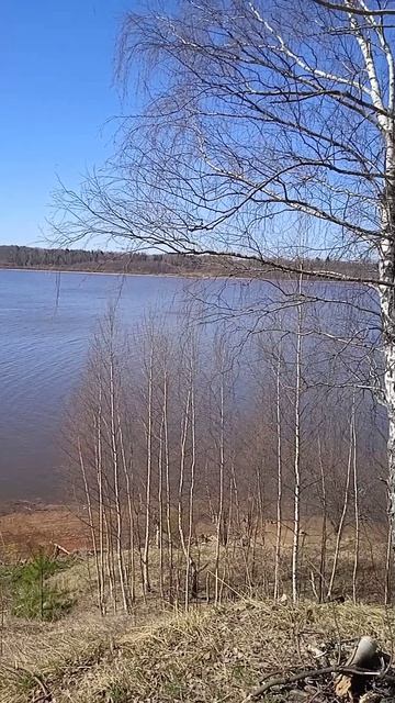 Бросил всё и уехал на велике на берег Волги.