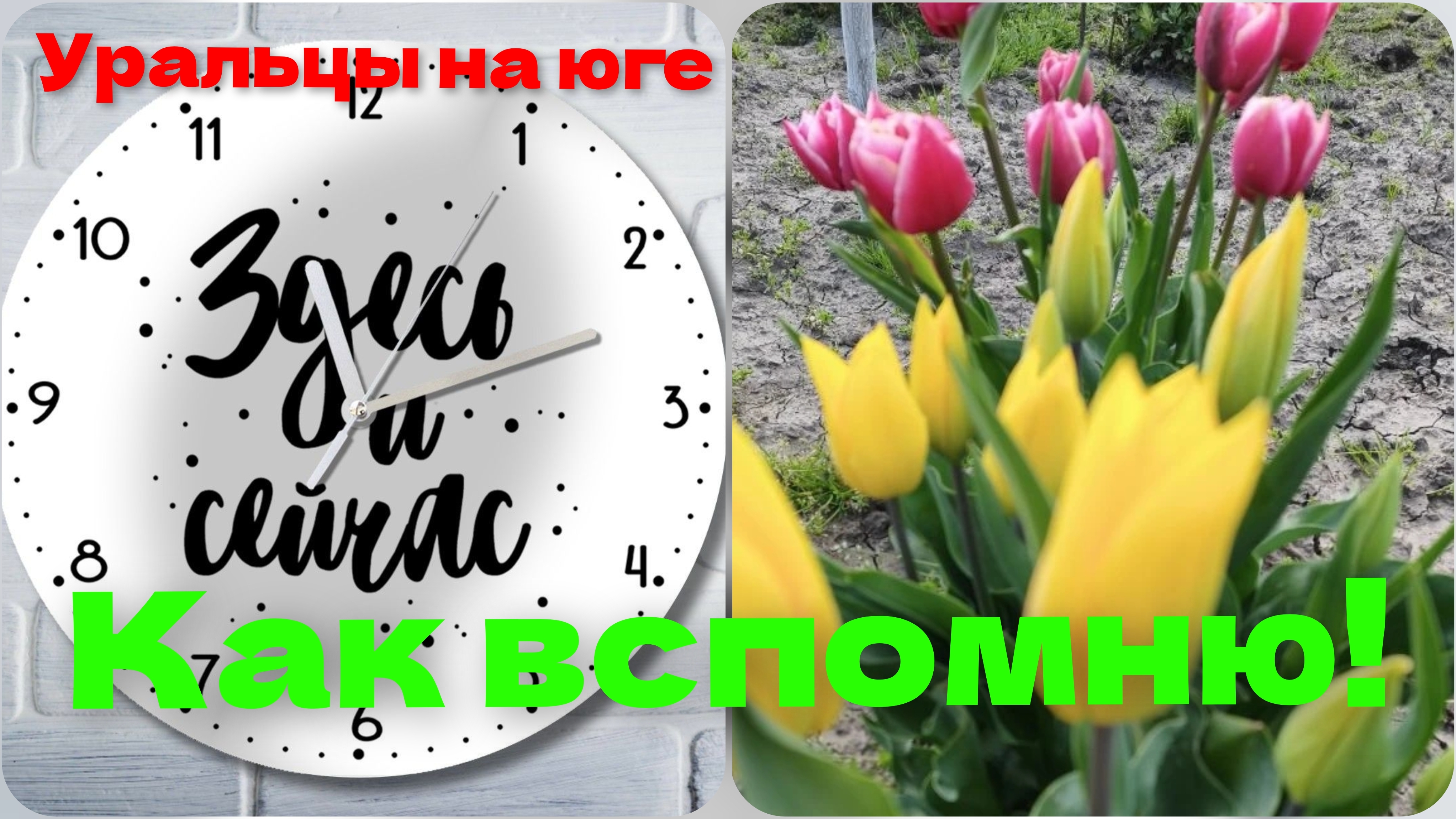 Мечтай!Планируй!Живи!