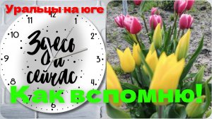 Мечтай!Планируй!Живи!