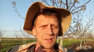 Что общего у заморозков, болезней и града???