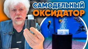 Аквариумные истории из ЭКЗОМЕНЮ (17.04.2026). Делаем самодельный оксидатор!