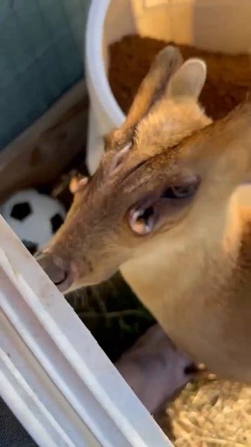 VID_20260416_140704_841.mp4