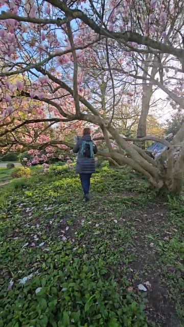 6 апреля 2026 г.