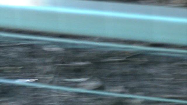 11)Б ПАРК ПОБЕДЫ ЗООПАРК