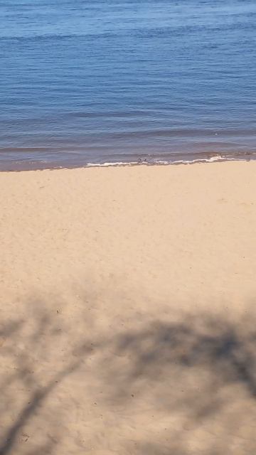 птички на Волге Самара 16.04.2026