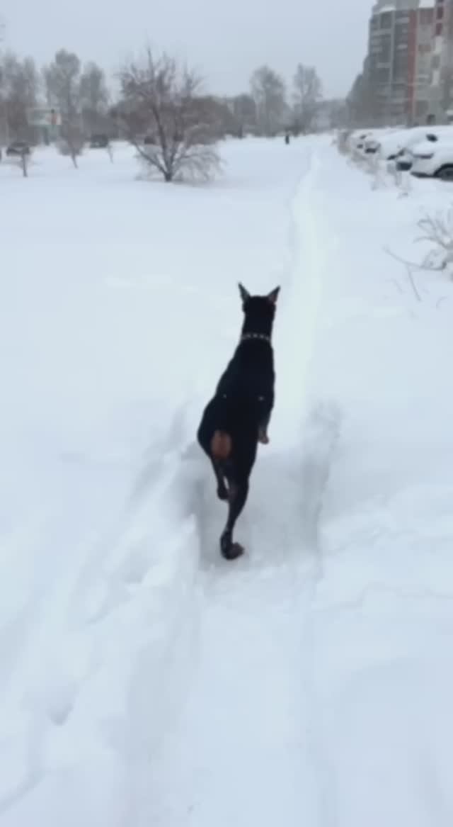 Воспоминания