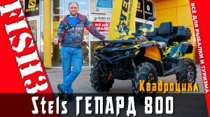 Квадроцикл STELS Гепард 800 2026: экспертный разбор. Секрет популярности