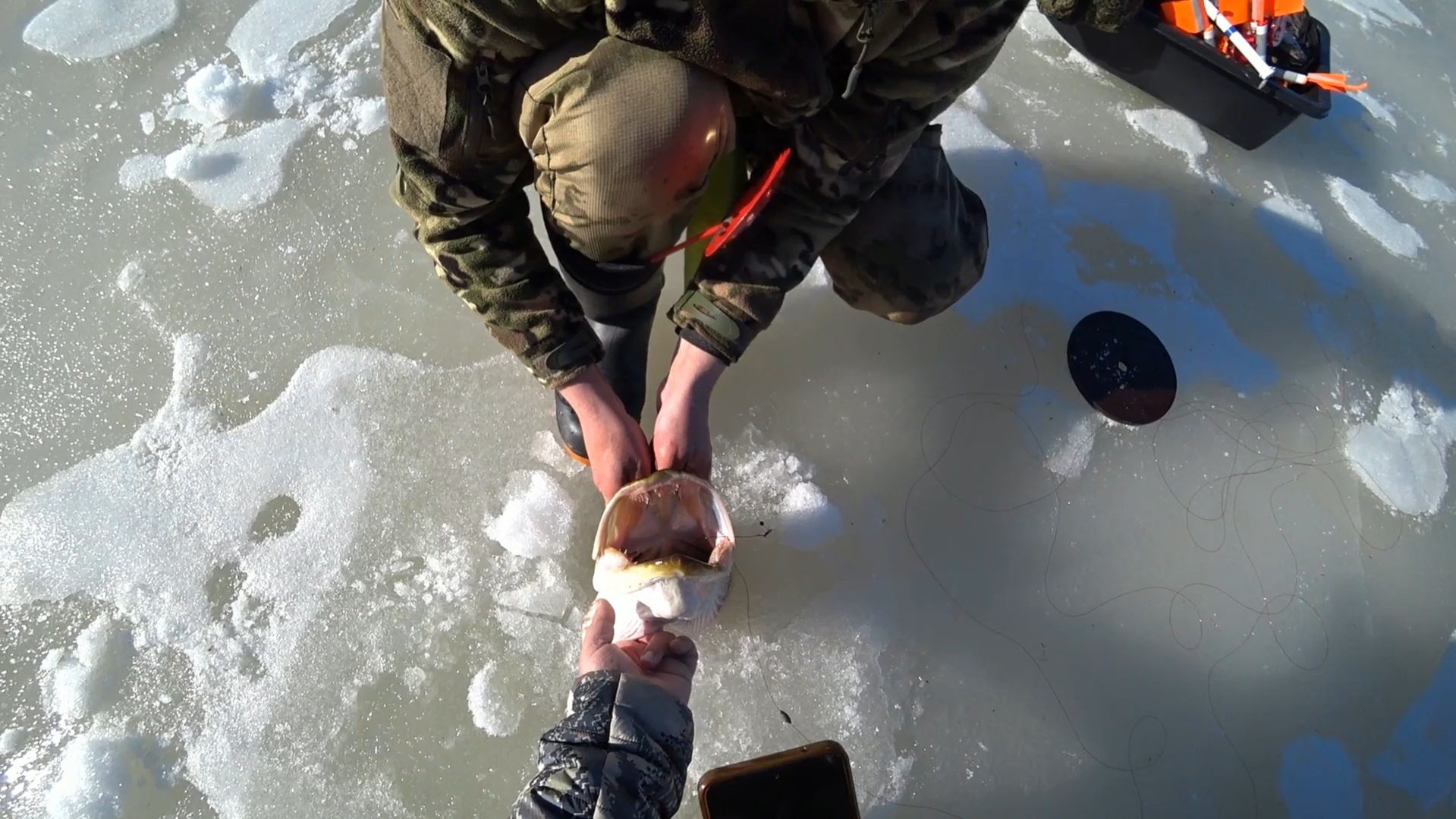 ШОК-КОНТЕНТ, ОГРОМНАЯ ЩУКА НЕ ЛЕЗЕТ В ЛУНКУ! БЬЁМ РЕКОРДЫ НА ЖЕРЛИЦЫ \ ДАЧА, БАНЯ, ВЫЕЗЖАЕМ ДОМОЙ!