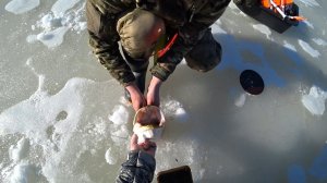 ШОК-КОНТЕНТ, ОГРОМНАЯ ЩУКА НЕ ЛЕЗЕТ В ЛУНКУ! БЬЁМ РЕКОРДЫ НА ЖЕРЛИЦЫ \ ДАЧА, БАНЯ, ВЫЕЗЖАЕМ ДОМОЙ!