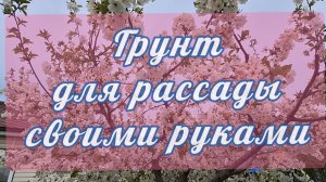 Грунт для рассады своими руками