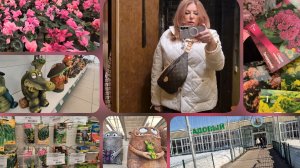 Садовый центр