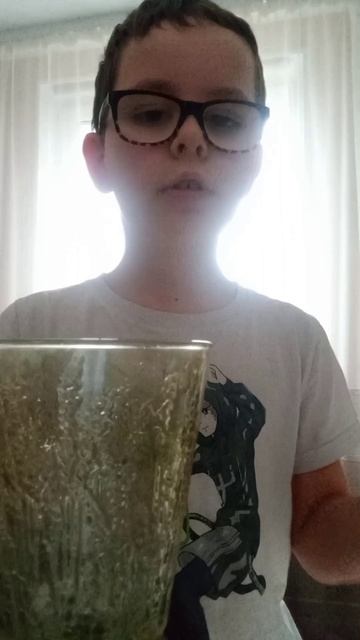 Какая чашка лучше голосуем в комм