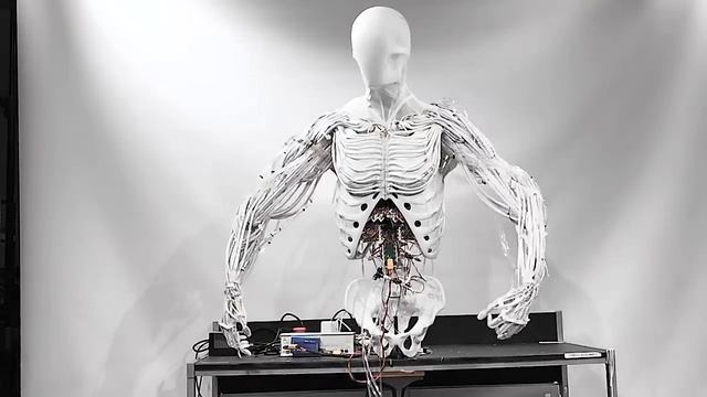 нечего себе какой робот