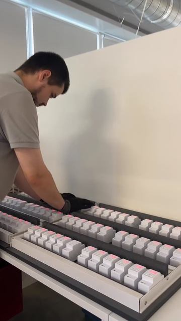 Один день из жизни Welrok!