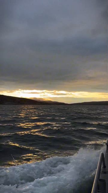 Это Баренцево море  одна из причин отправиться на Кольский уже этим летом баренцевоморе киты