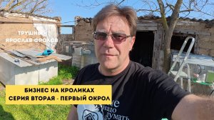 Бизнес на кроликах 2  - первый окрол | Трушный канал Ярослава Фролова