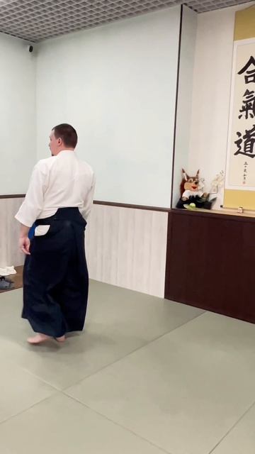 Быстро, эффектно и легко! Универсальная техника Айкидо. #айкидо #школа #клуб #Шиюкай #арт