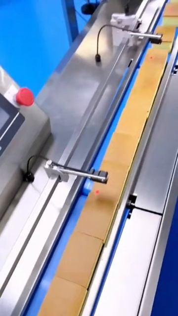 Конвейер-разделитель - 93 кп  Сытный Дом