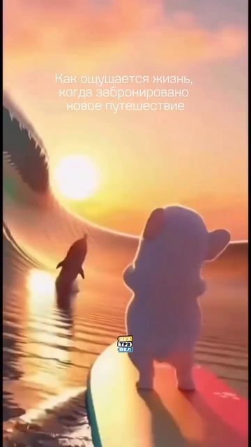 Ожидание новой поездки — это всегда супер-приятное чувство!