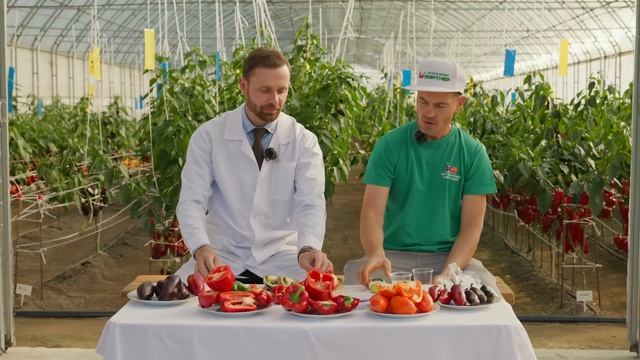  СЕМЕНА ПЕРЦА ДЛЯ ДАЧИ: КАКИЕ ГИБРИДЫ САМЫЕ СЛАДКИЕ? ЧЕСТНАЯ ДЕГУСТАЦИЯ!