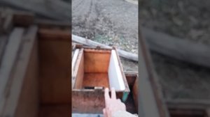 Георгий Показеев вкратце о своей технологии получения огромного количества меда из одного улья.