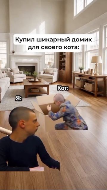 Кот опять спит в коробке