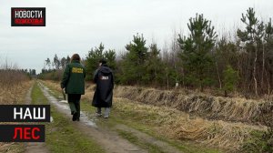 Как вырос высаженный в рамках губернаторской программы в 2014 году лес в Балашихе