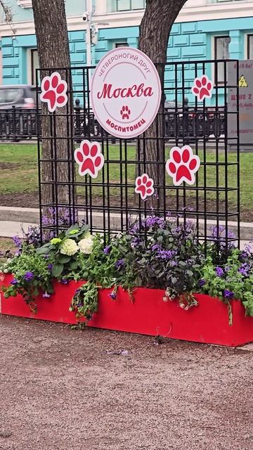 Моспитомец. Тверской бульвар#2026 #прогулка #reels__tiktok #москвасити #кудасходитьвмоскве #весна