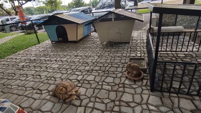 Путешествие с друзьями по Тайланду, 10. Дорога домой.