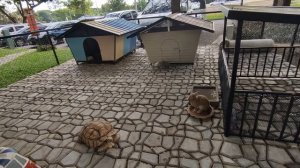 Путешествие с друзьями по Тайланду, 10. Дорога домой.