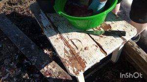 //196// Жизнь в деревне.Привезли рыбку.Топлю баню.